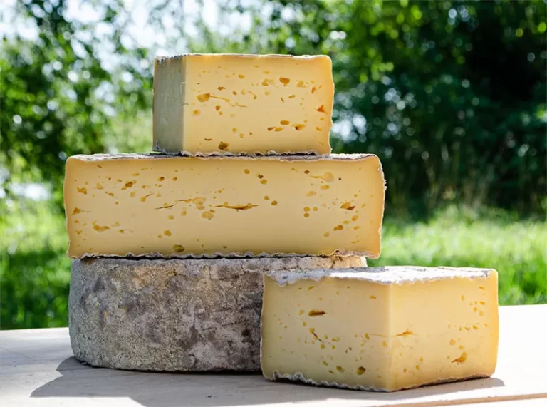 La Tome de Bray, un de fromages produits à la ferme fromagerie